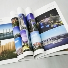 畫(huà)冊(cè)6